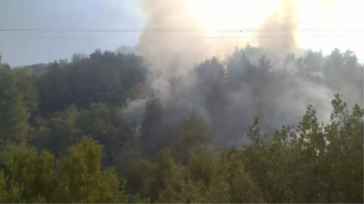Hatay Defne ilçesinde orman yangını çıktı