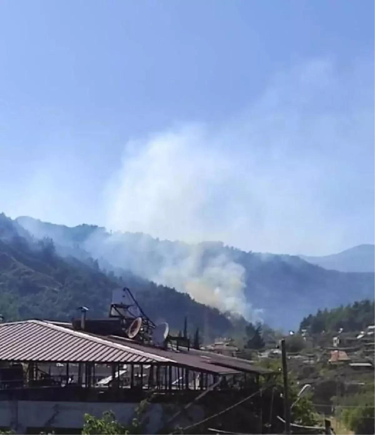 Hatay'da orman yangını (3)