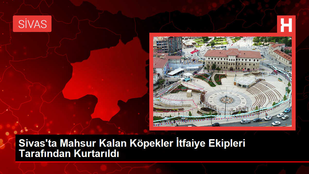 Sivas'ta Mahsur Kalan Köpekler İtfaiye Ekipleri Tarafından Kurtarıldı