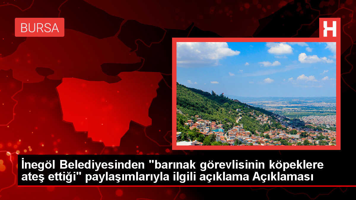 İnegöl Belediyesi, sosyal medyada paylaşılan hayvanlara ateş eden görüntülerin eski olduğunu açıkladı
