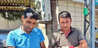 Kırıkkale'de düşen leylek yavrusu tedavi edildi