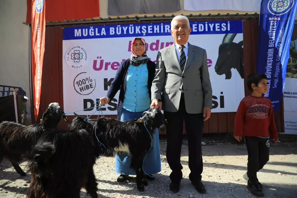 Muğla Büyükşehir Belediyesi Kıl Keçisi Dağıtımı Başvurularını Başlattı