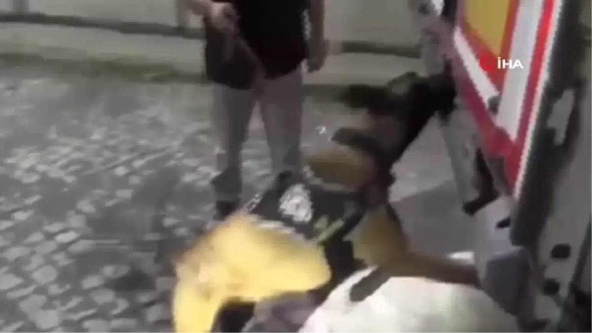 Niğde'de 72 kilo 500 gram esrar ele geçirildi