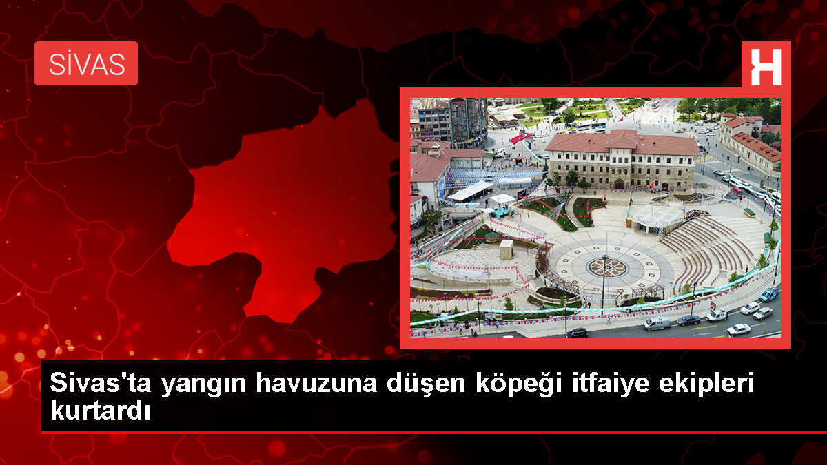 Sivas'ta Yangın Havuzuna Düşen Köpek Kurtarıldı