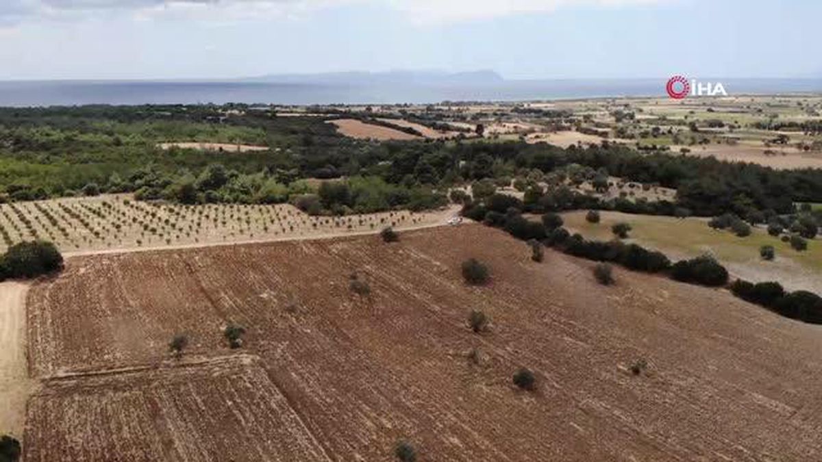 Anafartalar Muharebesine desteğe giden Yarbay Halit Bey'in şehit düştüğü mevkii bulundu