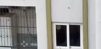 Vinçle Kurtarılan Sultan Papağanı