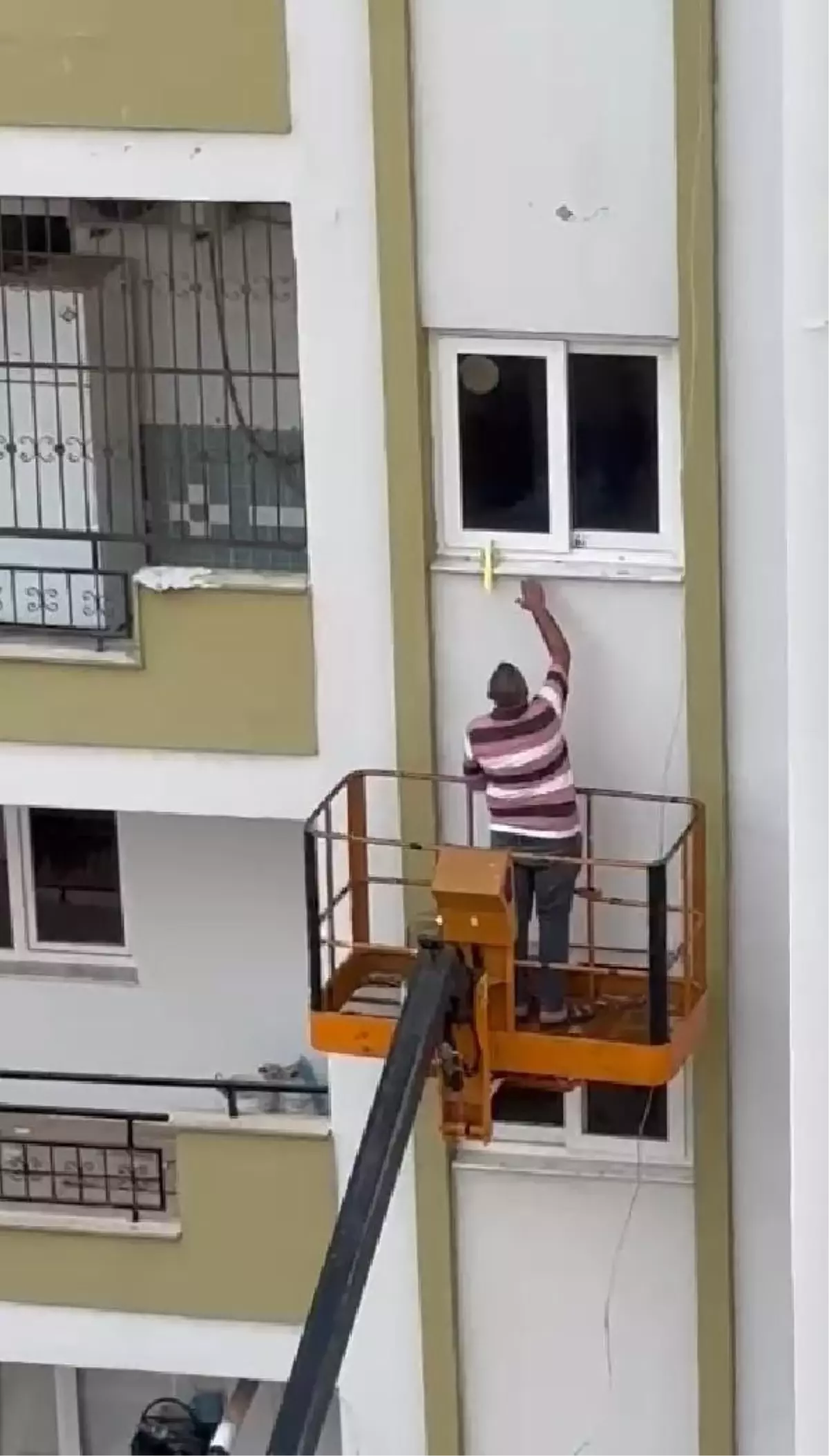 Vinçle Kurtarılan Sultan Papağanı