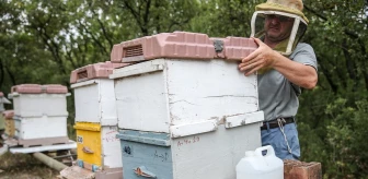 Arıcılara su konulması bal verimini artırıyor
