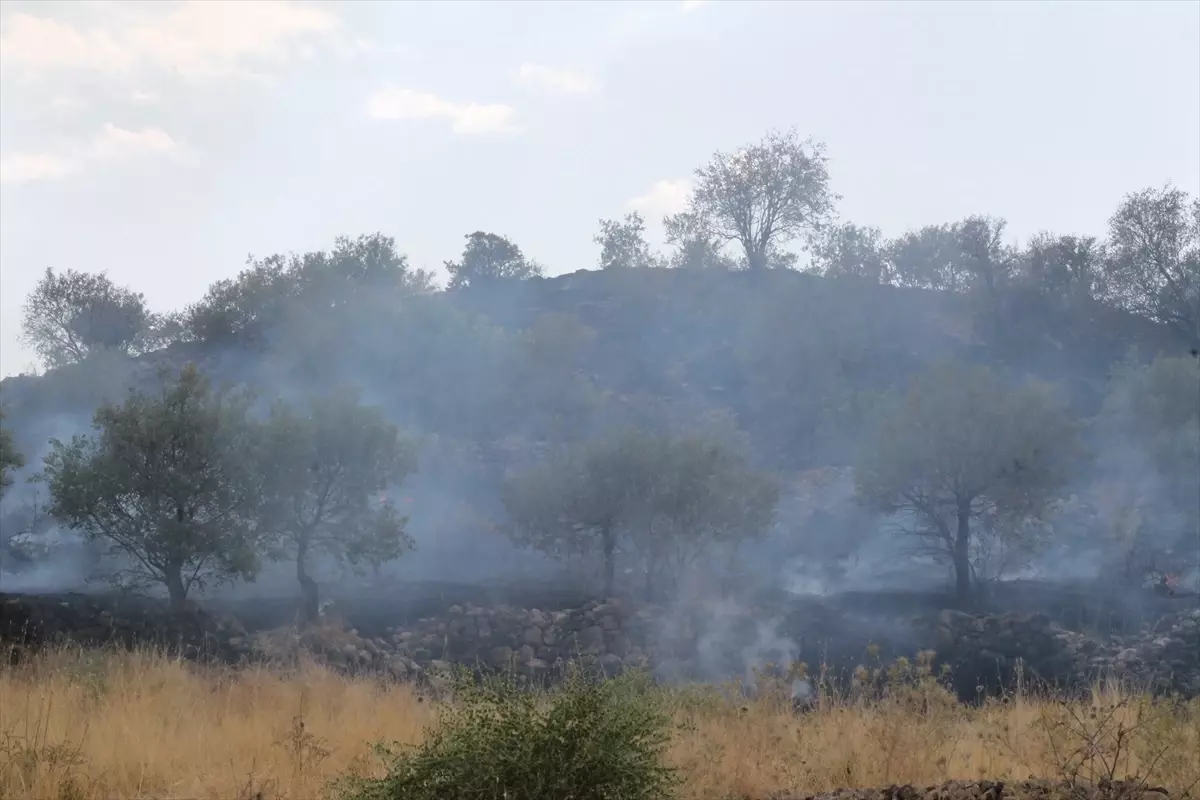 Batman'ın Gercüş ilçesinde çıkan yangında 75 dönüm alan zarar gördü