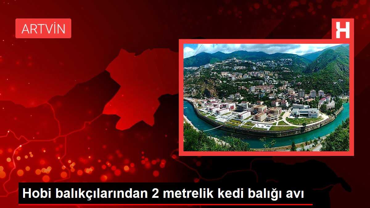 Hobi balıkçılarından 2 metrelik kedi balığı avı