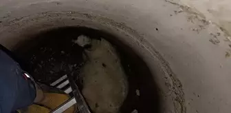 Özalp'ta rögara düşen koyunu itfaiye ekipleri kurtardı