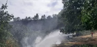 Sinop'ta ormanlık alanda çıkan yangın söndürüldü