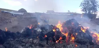 Van'da 8 bin bağ ot yandı
