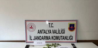 Antalya'da uyuşturucu operasyonunda 11 kişi gözaltına alındı