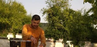 Zonguldak'ta Babasının Hediye Ettiği 8 Kovanla Arıcılığa Başlayan Genç Girişimci, Kovan Sayısını 500'e Çıkardı