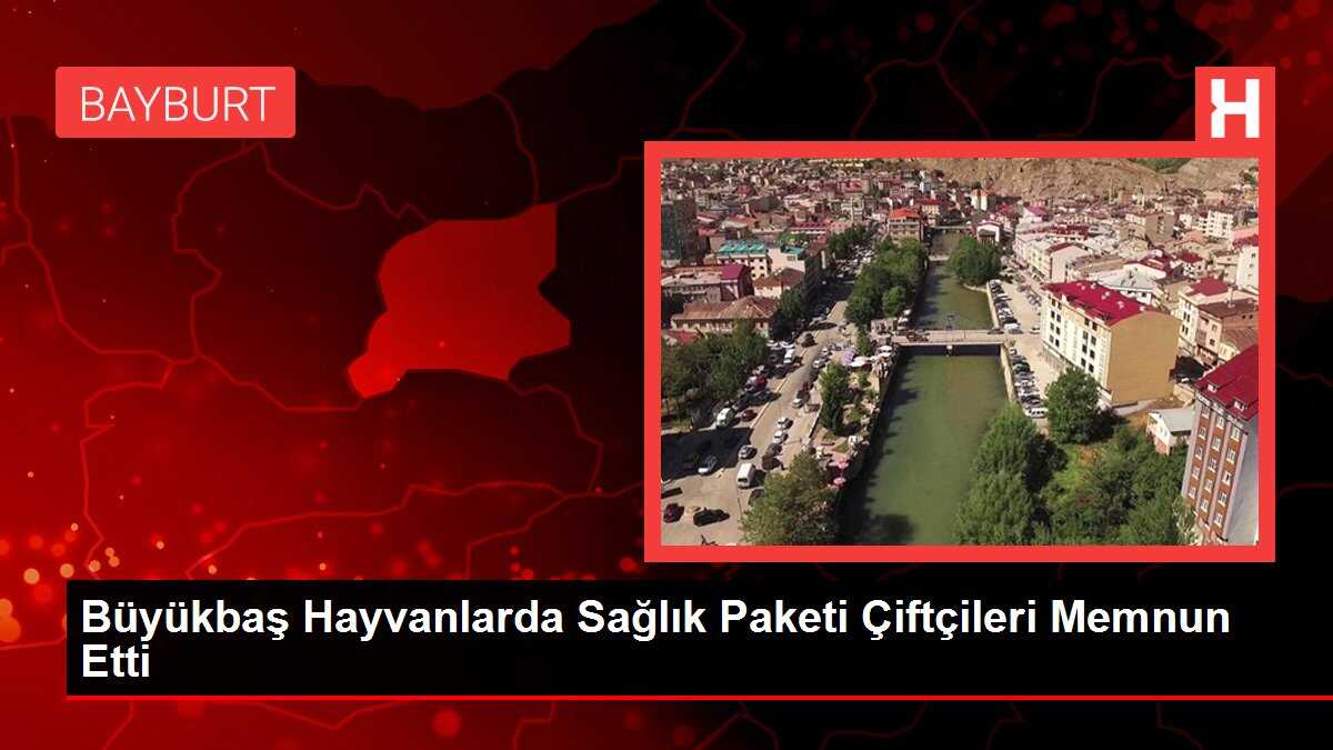 Büyükbaş Hayvanlarda Sağlık Paketi Çiftçileri Memnun Etti