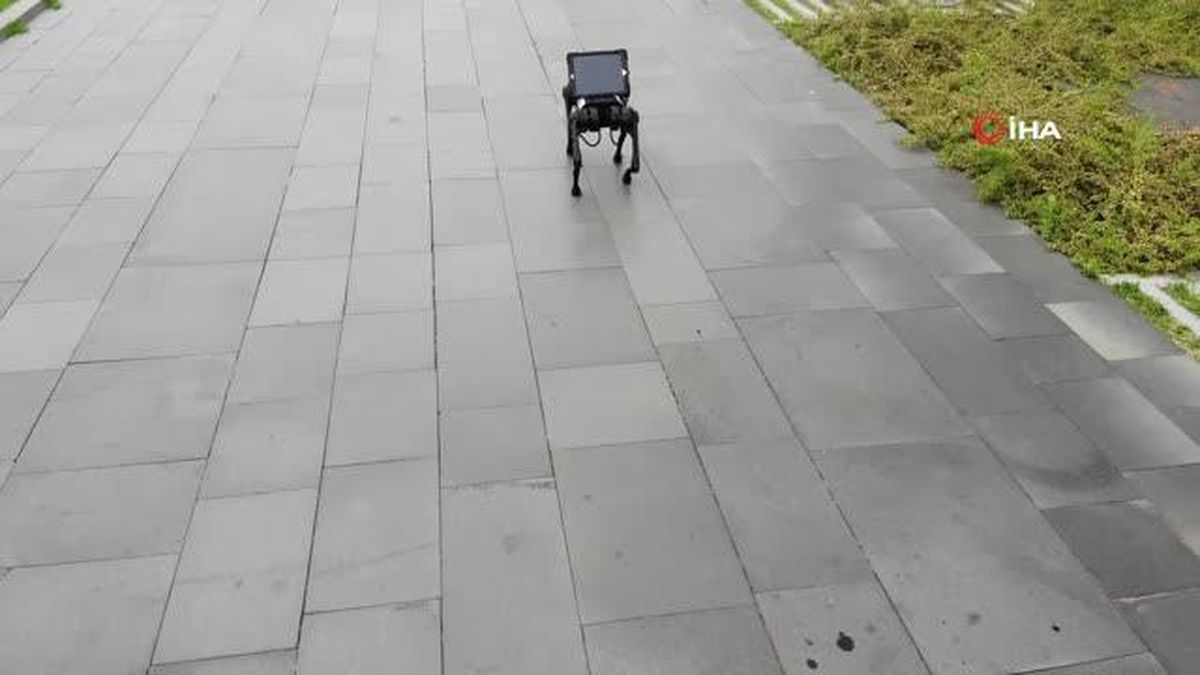 Pendik'te sokaklarda gezen robot köpeğe vatandaştan simit - çay ikramı