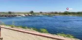 Serinlemek için Fırat Nehri'ne giren baba oğul kayboldu