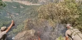 Siirt'te orman yangını 52 saatte söndürüldü