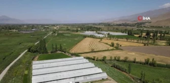 Erzincan'da Seracılık Sektörü Gelişmeye Devam Ediyor