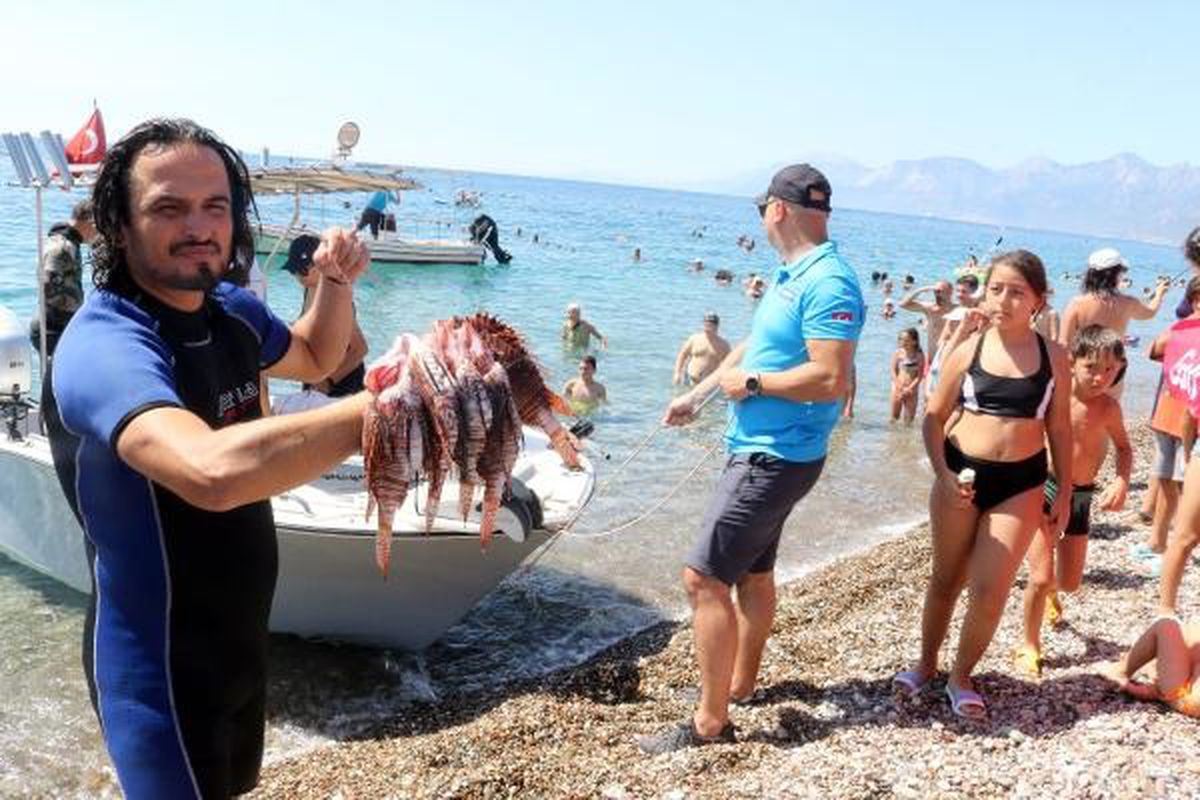 Antalya'da Aslan Balığı Avcılığı Yarışması Düzenlendi
