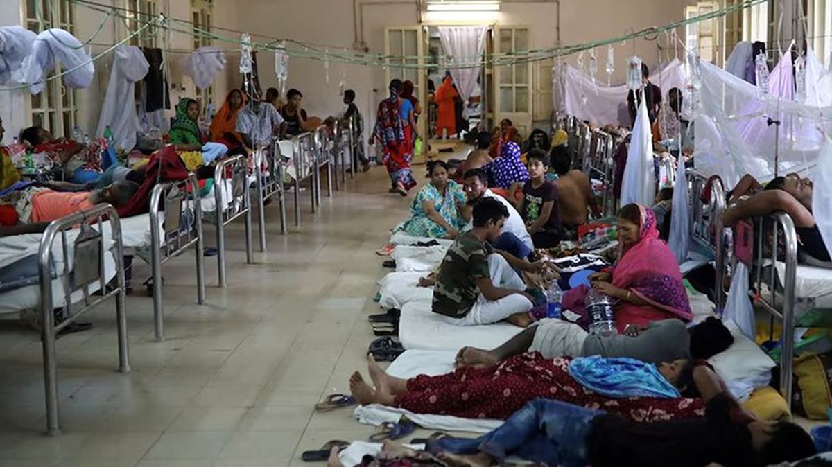 Bangladeş'te Dang Humması nedeniyle son 24 saatte 11 kişi hayatını kaybetti, 2 bin 905 kişi hastaneye kaldırıldı