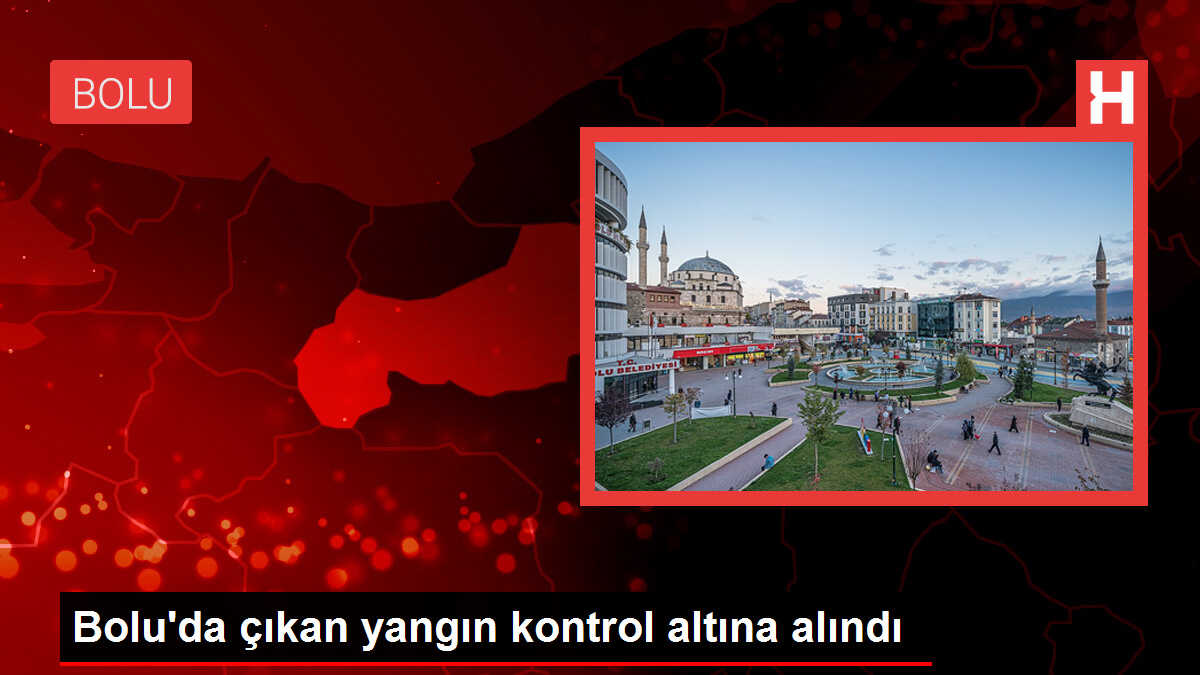 Bolu'da çıkan yangın kontrol altına alındı