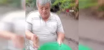 Dere yatağında çamurların arasında altın tozu arıyor
