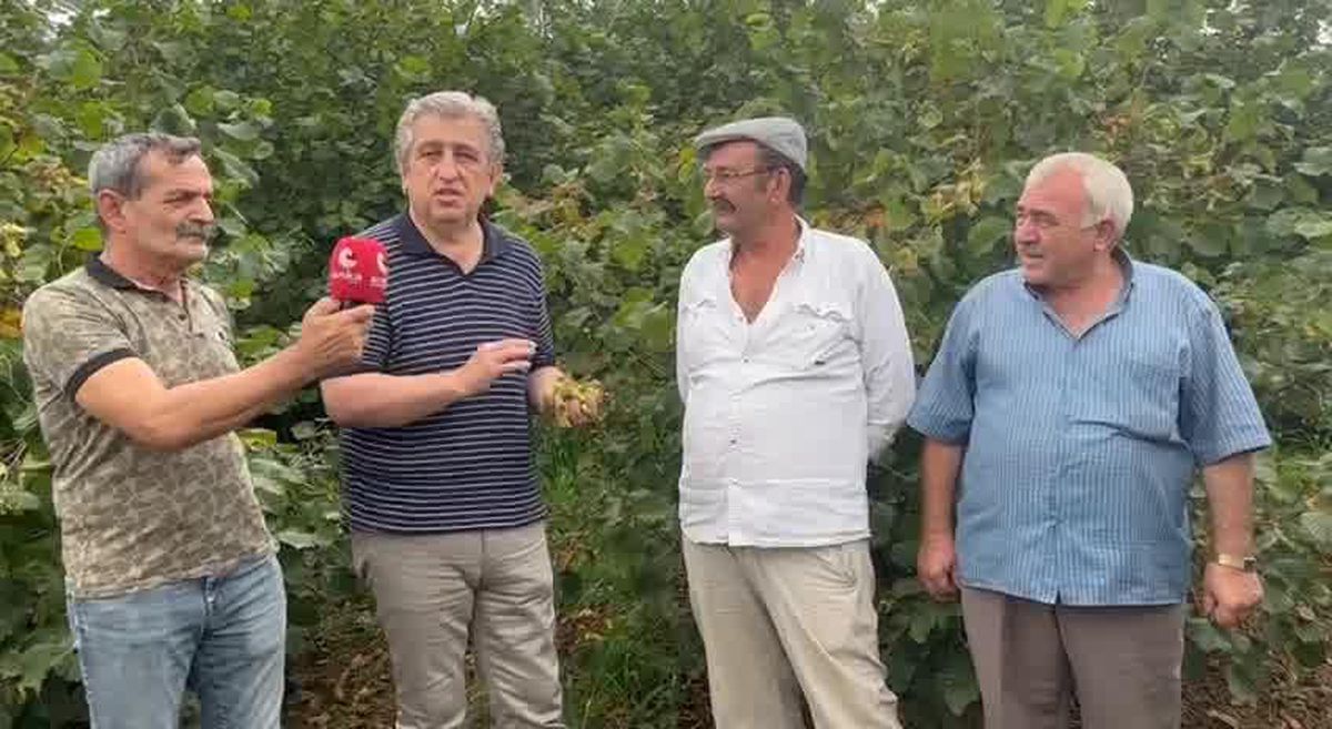 Murat Çan, Fındık Üreticilerini Ziyaret Etti: 'Türk Fındık Üreticisine İhanet Ediliyor'