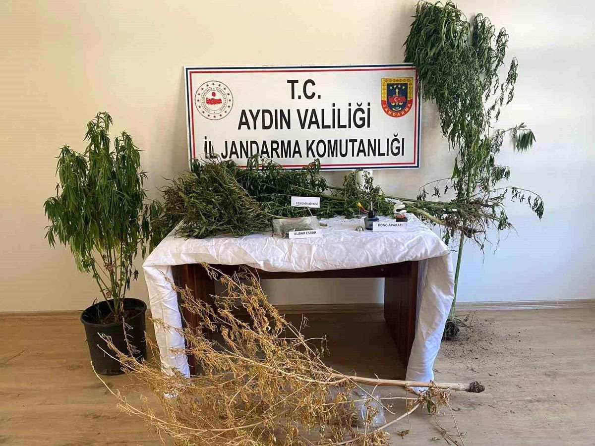 Aydın'da Uyuşturucu Operasyonu: Evde Uyuşturucu Madde ve Kenevir Bitkisi Ele Geçirildi