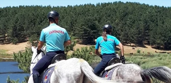 Nevşehir Jandarma At ve Köpek Eğitim Merkezi'nden Atlı Jandarma Timi Akdağ'da Göreve Başladı