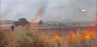 Burdur'da 100 Dönüm Tarım Arazisi ve Saman Balyaları Yangında Küle Döndü