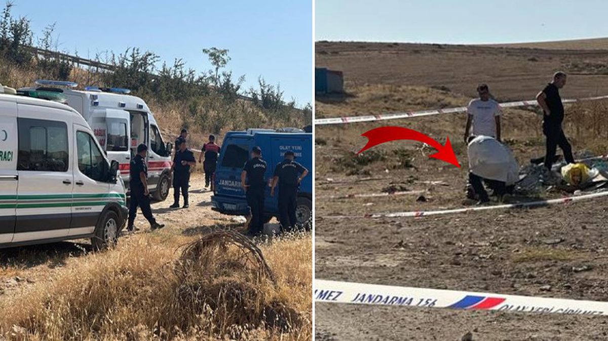 Gaziantep'te bir arazide köpekler tarafından parçalanmış bebek cesedi bulundu