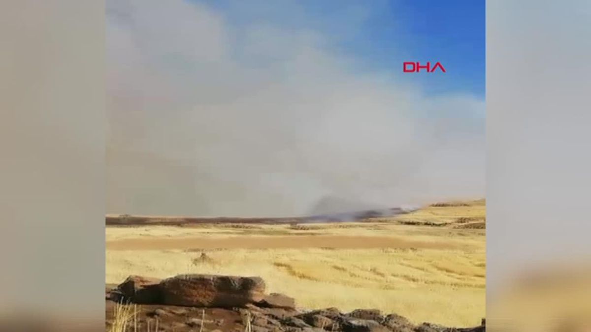 Mardin'de çıkan örtü yangınında ormana sıçrayan alevler kontrol altına alınmaya çalışılıyor