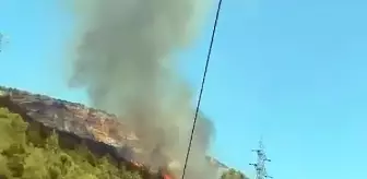 Erdemli'de Ormanda Çıkan Yangın Kontrol Altına Alındı