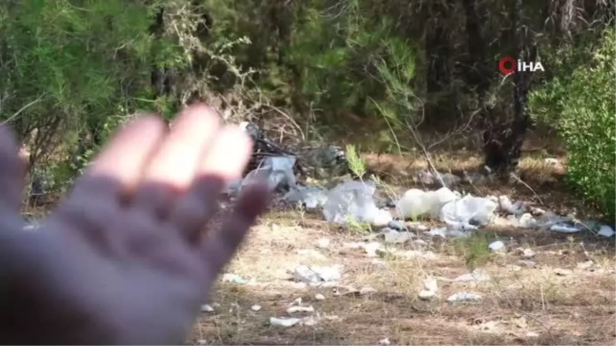 Ormana atılan çöpler isyan ettirdi