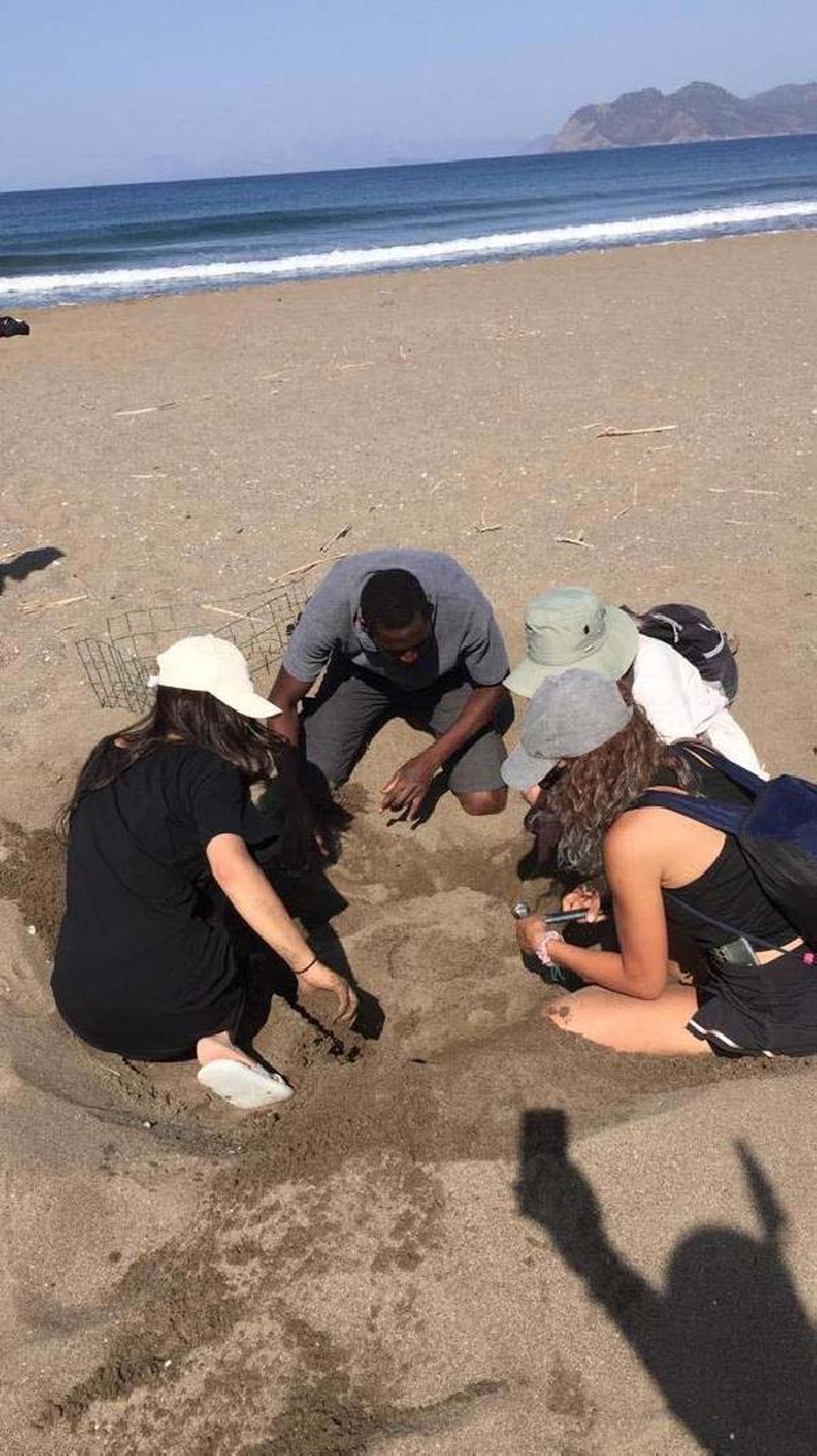 İztuzu Plajı'nda Carettaların Yumurtlama Dönemi