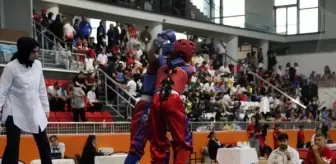 15 Temmuz Açık Balkan Wushu Kung Fu Şampiyonası Edirne'de başladı