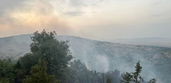 Afyonkarahisar İhsaniye'de Orman Yangını