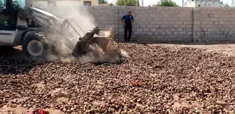 Şanlıurfa'da kurutulup yeniden piyasaya sürülmek istenen 4 ton çürümüş soğan imha edildi