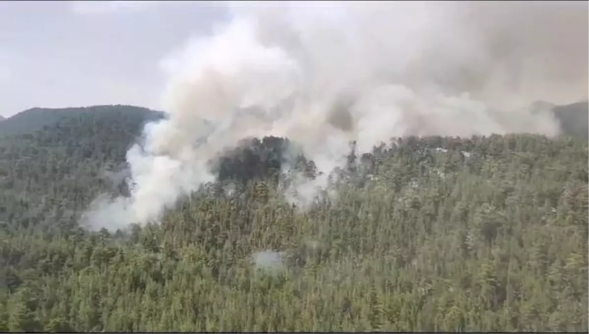 Antalya'da Orman Yangınına Havadan ve Karadan Müdahale Ediliyor