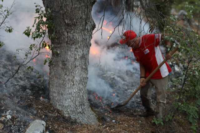 Antalya, Eskişehir, Bolu ve Bingöl'de peş peşe orman yangını! Alevlere müdahale devam ediyor