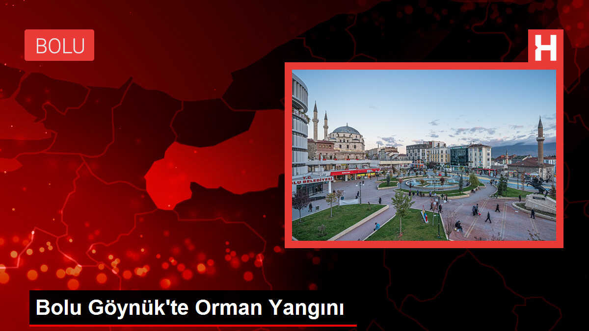 Bolu Göynük'te Orman Yangını