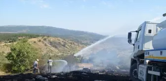 Çankırı'nın Şabanözü ilçesinde orman yangını