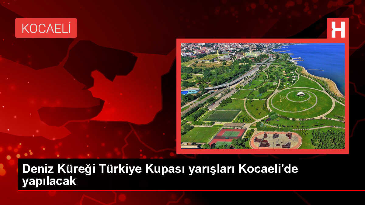 Deniz Küreği Türkiye Kupası Yarışları Gebze'de Başlıyor