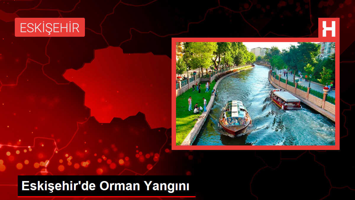 Eskişehir'de Ormanda Yangın Çıktı