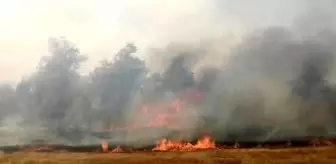 Yalvaç'ta saman balyası saran traktörde çıkan yangın büyük alana yayıldı