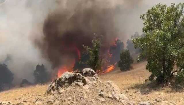 Siirt'te orman yangını söndürüldü mü? Siirt'te çıkan yangında son durum nedir? Siirt'te orman yangını söndürüldü mü? Siirt'te çıkan yangında son durum nedir?