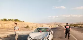 Sivas'ta büyükbaş hayvana çarpan otomobilin sürücüsü darbedildi