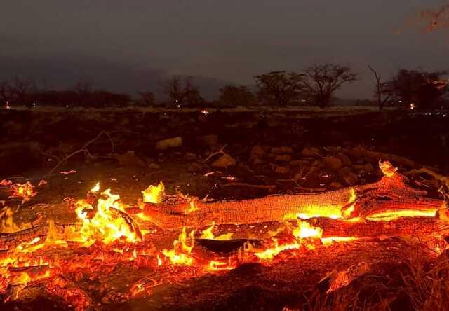 ABD Başkanı Biden eleştiriler üzerine yangın felaketi ile sarsılan Hawii'yi en kısa sürede ziyaret edeceğini söyledi ABD Başkanı Biden eleştiriler üzerine yangın felaketi ile sarsılan Hawii'yi en kısa sürede ziyaret edeceğini söyledi